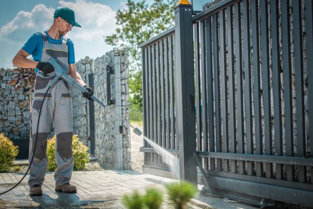 Best Graffiti Removal  in Elk Grove Vlage, IL