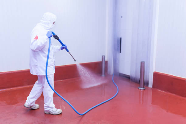 Best Gas Station Cleaning  in Elk Grove Vlage, IL