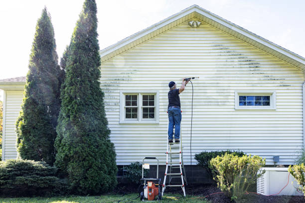 Best Patio and Deck Pressure Washing  in Elk Grove Vlage, IL