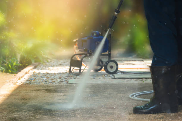 Best Paint Preparation  in Elk Grove Vlage, IL